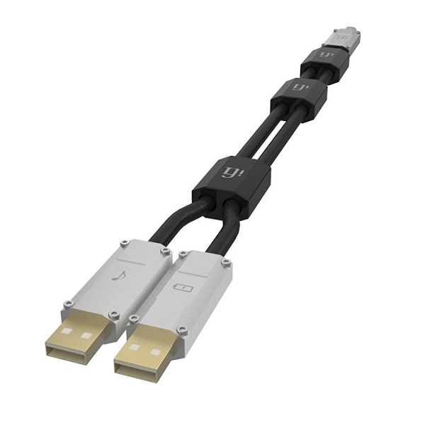 IFI Audio Gemini Dual Headed Audiophile USB Cable